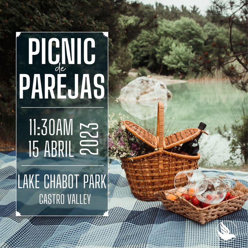 picnic-parejas