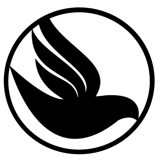 Vida Nueva Logo